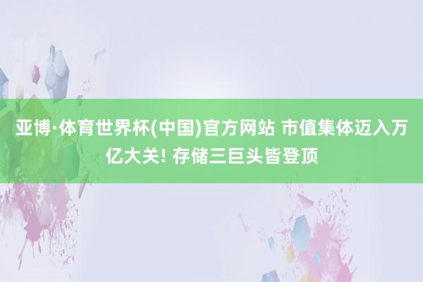 亚博·体育世界杯(中国)官方网站 市值集体迈入万亿大关! 存储三巨头皆登顶