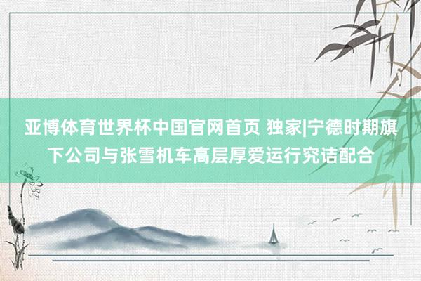亚博体育世界杯中国官网首页 独家|宁德时期旗下公司与张雪机车高层厚爱运行究诘配合