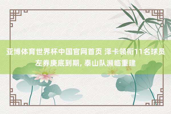 亚博体育世界杯中国官网首页 泽卡领衔11名球员左券庚底到期, 泰山队濒临重建