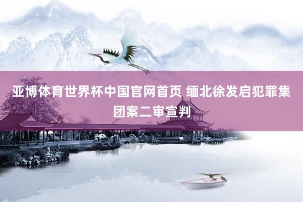 亚博体育世界杯中国官网首页 缅北徐发启犯罪集团案二审宣判