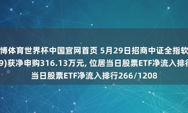 亚博体育世界杯中国官网首页 5月29日招商中证全指软件ETF(159899)获净申购316.13万元, 位居当日股票ETF净流入排行266/1208