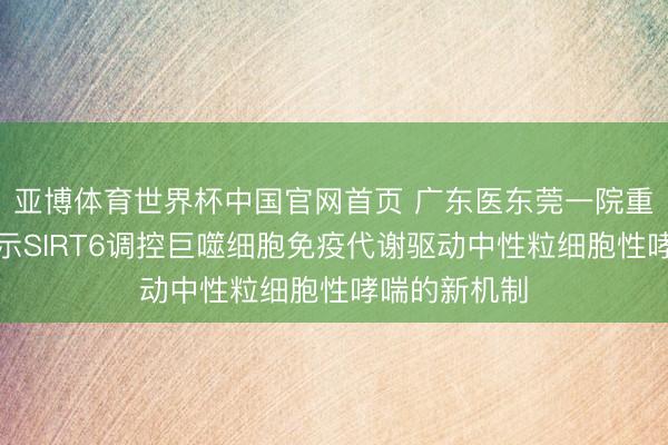 亚博体育世界杯中国官网首页 广东医东莞一院重磅后果:揭示SIRT6调控巨噬细胞免疫代谢驱动中性粒细胞性哮喘的新机制